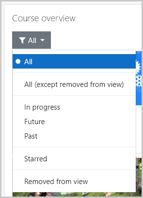 screenshot of course overview filter option set to "all"